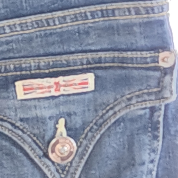 Hudson Short Shorts - Picture 5 of 9